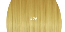 vp26-70
